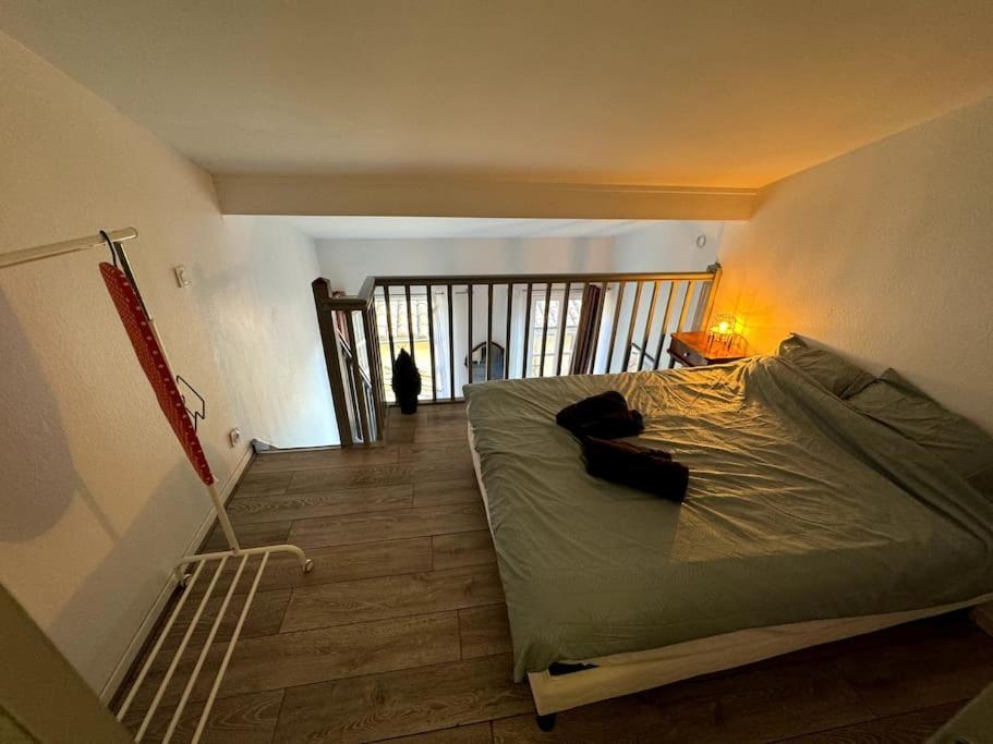 Appartamento Centre Toulouse - Gare Matabiau - Grand Duplex Esterno foto